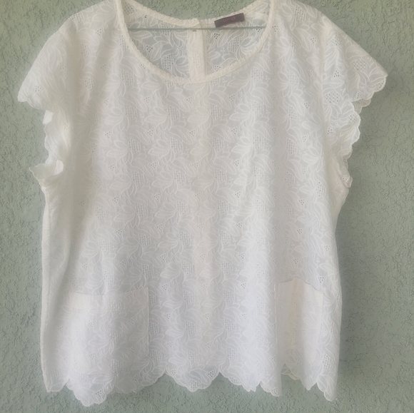 Chic White Lace Blouse for Women - Picture 1 of 12